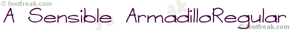 A Sensible ArmadilloRegular