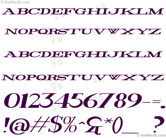Rider Widest Ultra-expanded Bold Italic