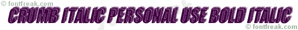 CRUMB ITALIC PERSONAL USE Bold Italic