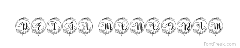Delia Monogram font preview