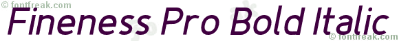 Fineness Pro Bold Italic