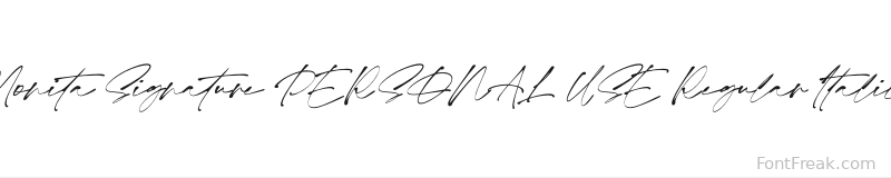 Monita Signature PERSONAL USE Regular Italic font preview