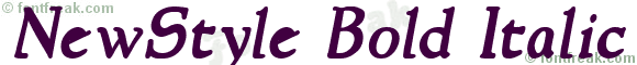 NewStyle Bold Italic