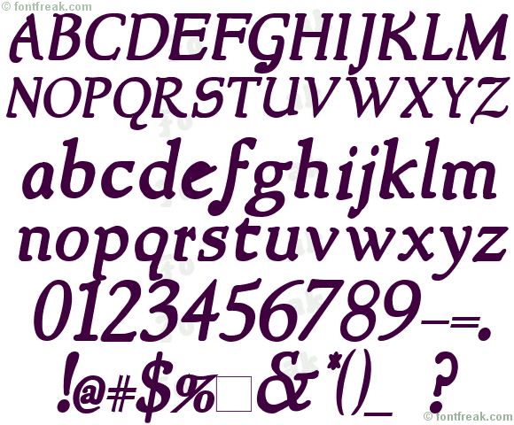 NewStyle Bold Italic