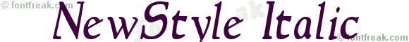 NewStyle Italic