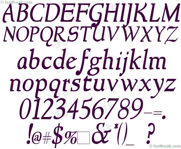 NewStyle Italic
