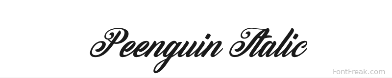 Peenguin Italic font preview