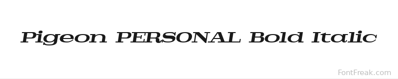 Pigeon PERSONAL Bold Italic font preview