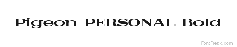 Pigeon PERSONAL Bold font preview