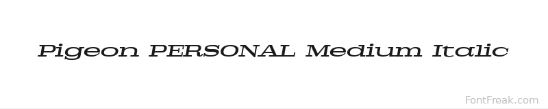Pigeon PERSONAL Medium Italic font preview