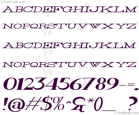 Rider Widest Ultra-expanded Light Italic