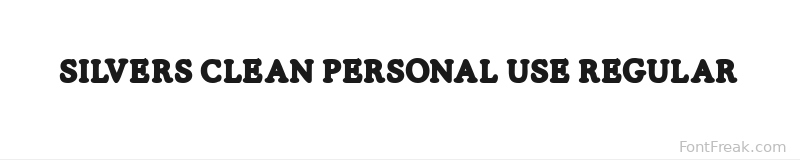 SILVERS CLEAN PERSONAL USE Regular font preview