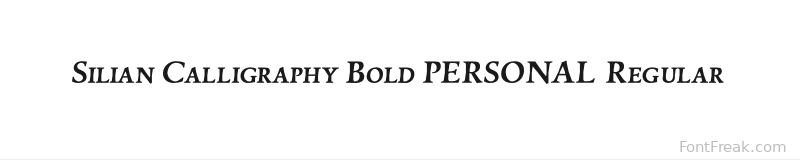 Silian Calligraphy Bold PERSONAL Regular font preview